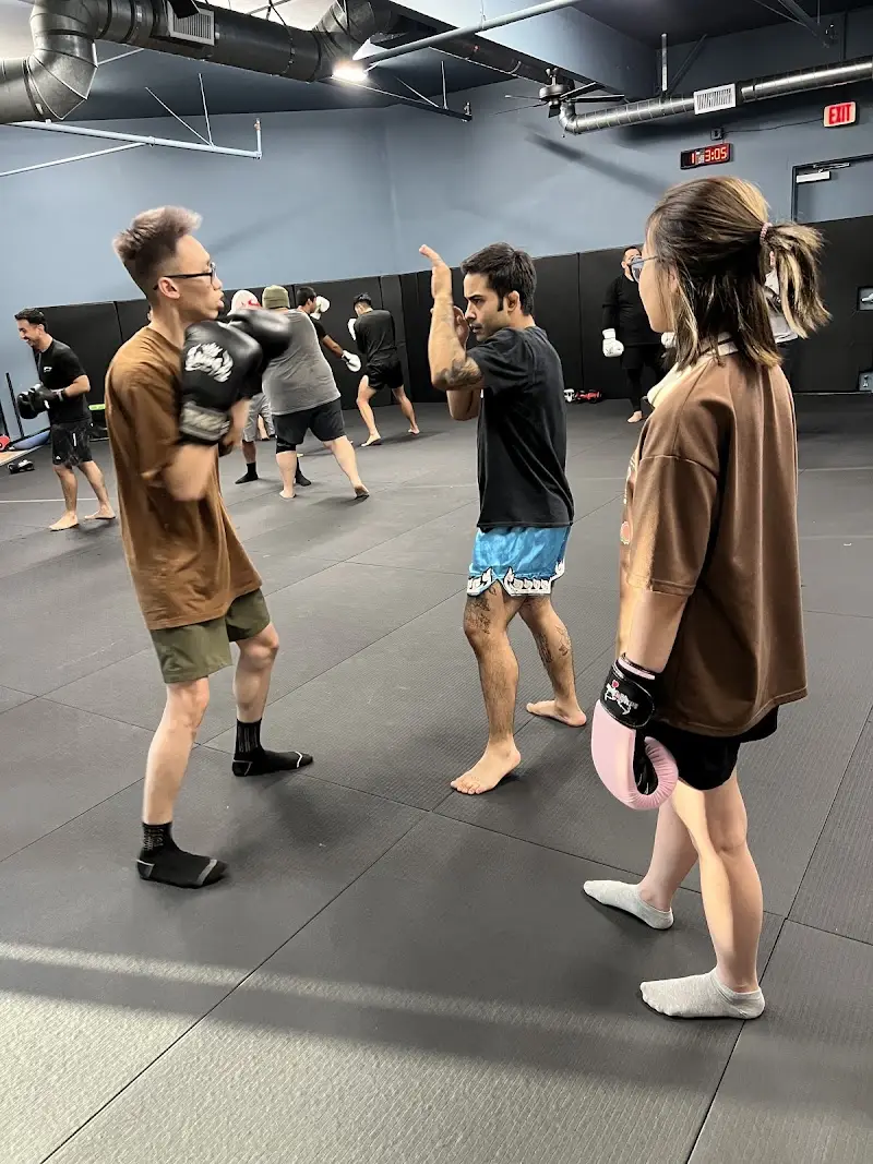 MANIFEST MMA GYM (Jiu Jitsu, Muay Thai) BJJ Academy - photo 1