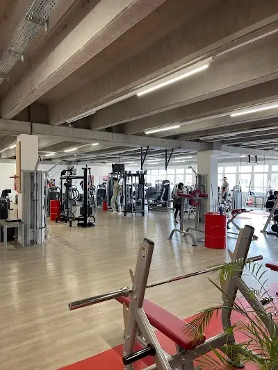 Mansouri Gym | Kampfsport mit dem Europameister! BJJ Academy - photo 2
