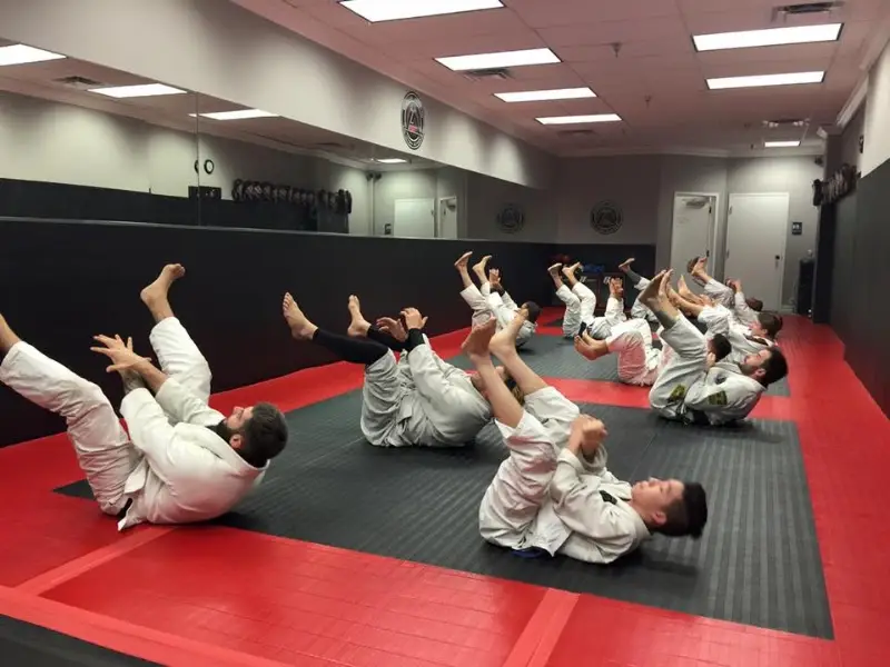 Marcus Aurelio Jiu Jitsu Academy BJJ Academy - photo 2