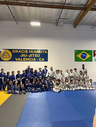 Mario Aiello Brazilian Jiu-Jitsu - Gracie Valencia BJJ Academy - photo 1