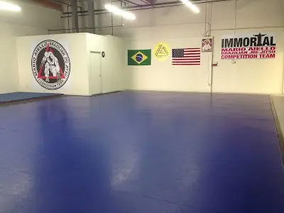 Mario Aiello Brazilian Jiu-Jitsu - Gracie Valencia BJJ Academy - photo 2