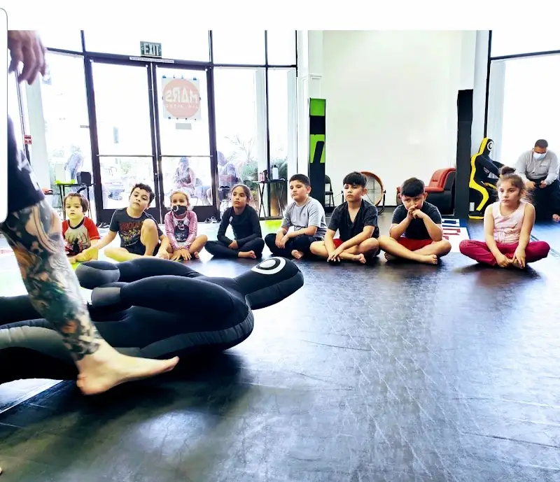 Mars Jiu Jitsu BJJ Academy - photo 1