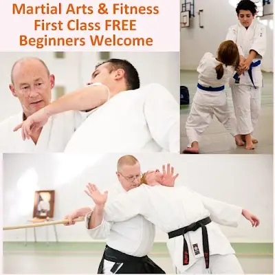 Martial Arts - Kenshinkai - Portsmouth BJJ Academy - photo 1