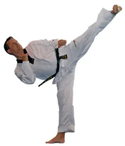 Martial Arts America BJJ Academy - photo 4