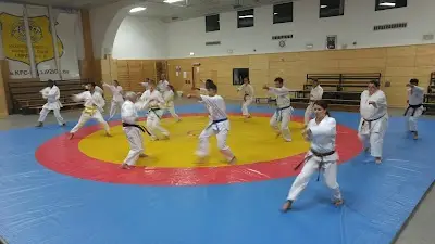 Martial Arts and Fitness Club e. V. BJJ Academy - photo 1