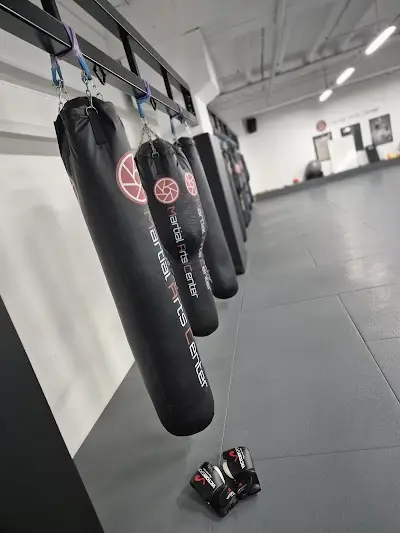 Martial Arts Center BJJ Academy - photo 2