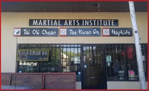 Martial Arts Institute BJJ Academy - photo 2