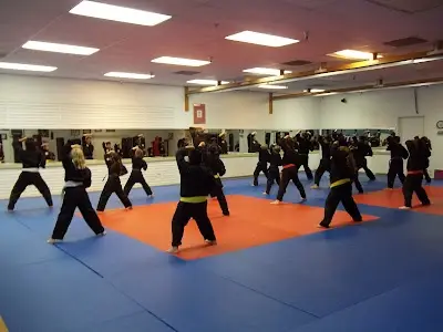 Martial Arts Institute BJJ Academy - photo 1