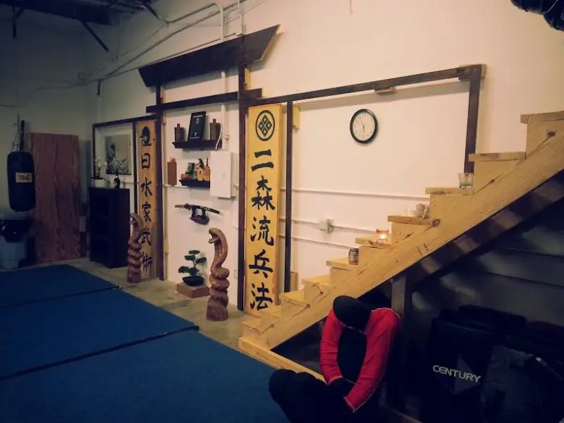 Martial Arts of Austin BJJ Academy - photo 1