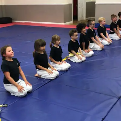 Martial Arts Rugby BJJ Academy - photo 1