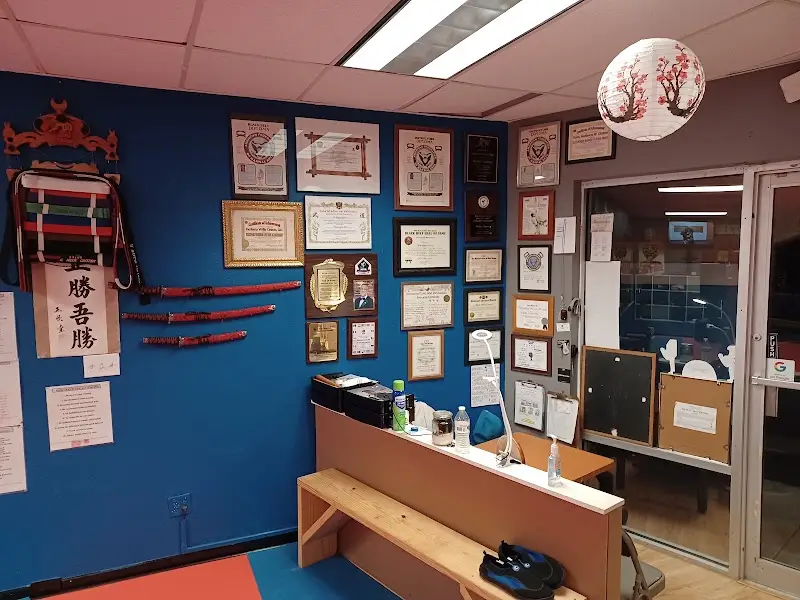 Martial Arts School of Survival BJJ Academy - photo 2