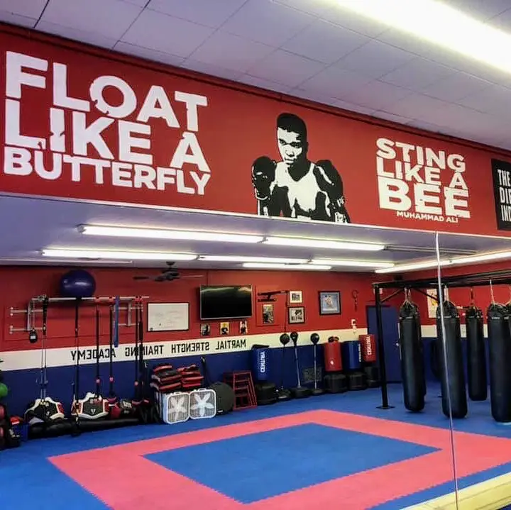 Martial Strength Training Academy BJJ Academy - photo 2