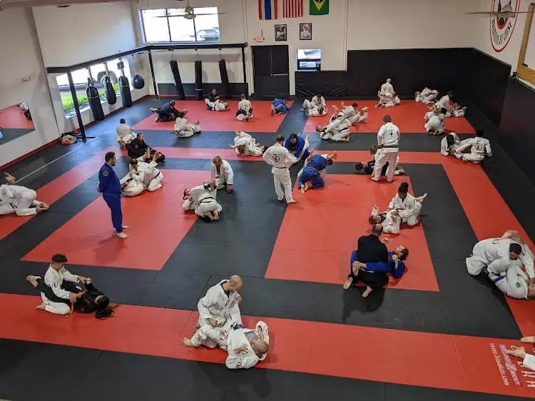 Mash Gym Brazilian Jiu Jitsu BJJ Academy - photo 1
