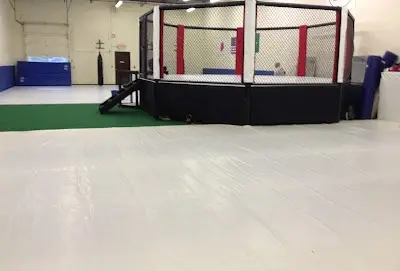 Mass Brazilian Jiu-Jitsu - Martial Arts Center BJJ Academy - photo 2