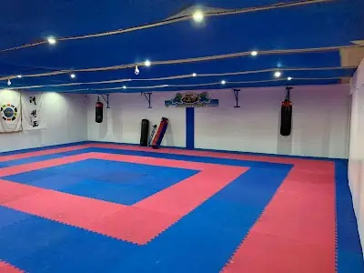 Master Lawes Family Martial Arts BJJ Academy - photo 1