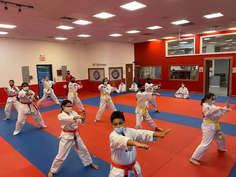 Master Park's Black Belt America of Marlboro BJJ Academy - photo 1