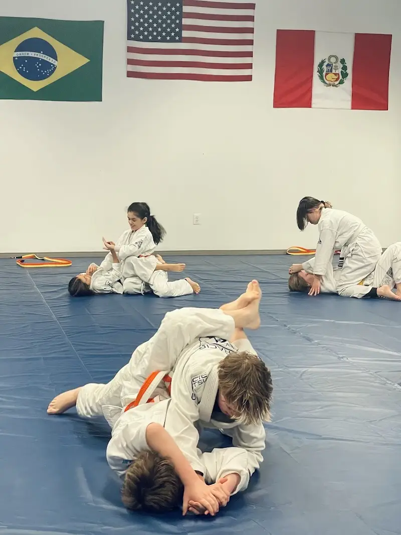 Mastery Jiu-Jitsu BJJ Academy - photo 1