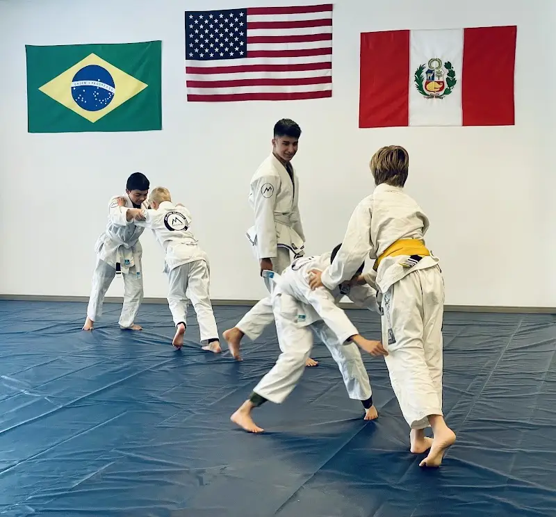 Mastery Jiu-Jitsu BJJ Academy - photo 2