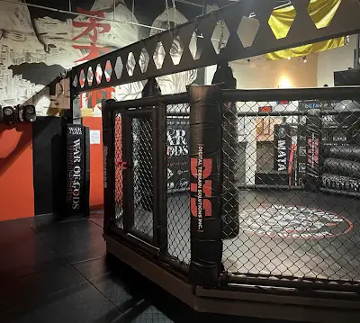 Matador MMA & BJJ Academy