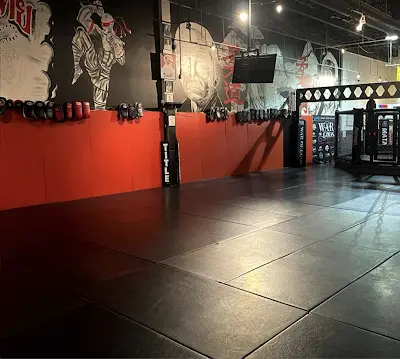 Matador MMA & BJJ Academy BJJ Academy - photo 2