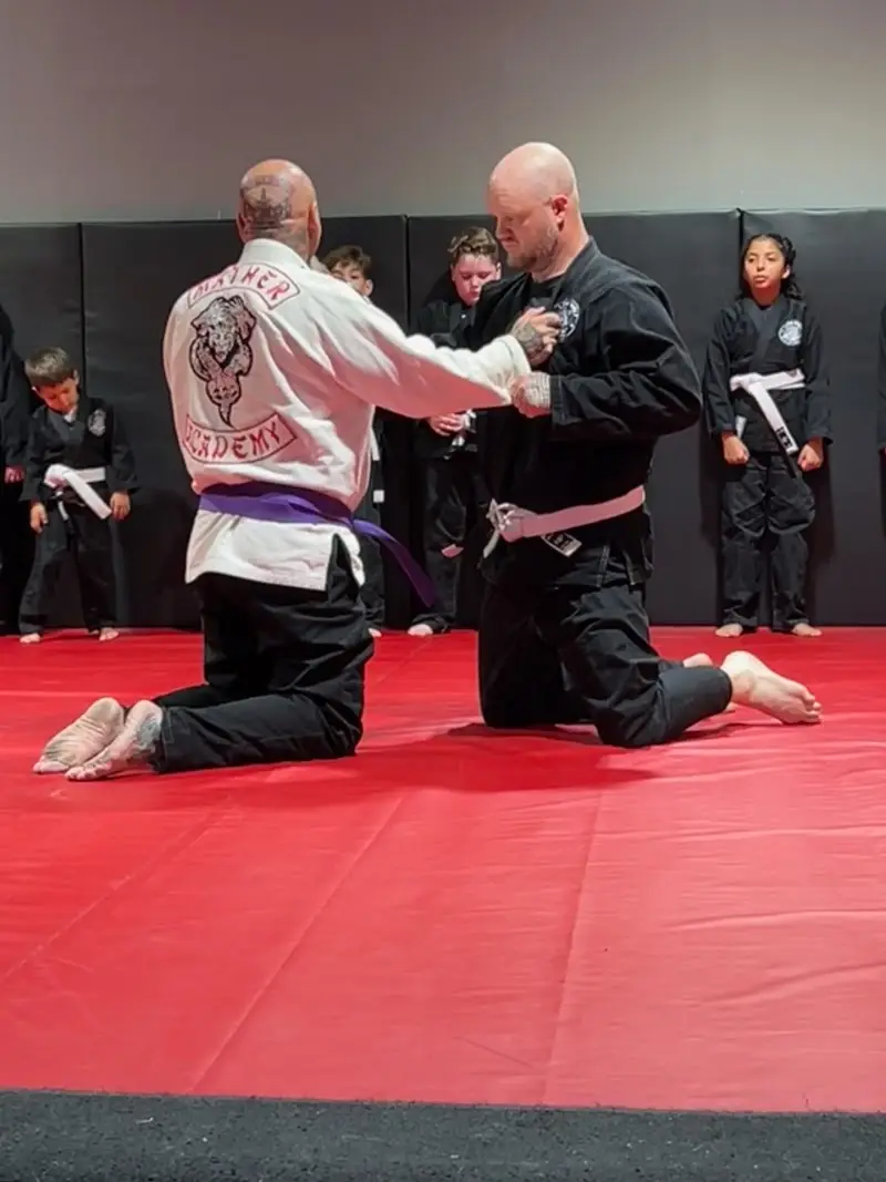 Mather Martial Arts Academy BJJ Academy - photo 1