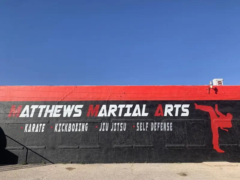 Matthews Martial Arts BJJ Academy - photo 2