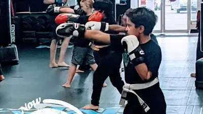 Maximum Martial Arts