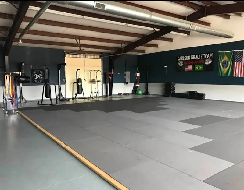 McGinnis Academy of Martial Arts BJJ Academy - photo 1