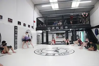 McNaldo's Martial Arts BJJ Academy - photo 2