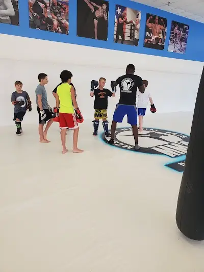 Mcsweeney Martial Arts and Performance Center BJJ Academy - photo 1