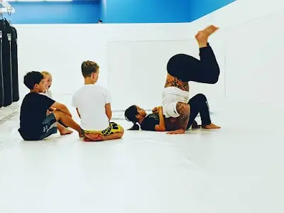 Mcsweeney Martial Arts and Performance Center BJJ Academy - photo 3