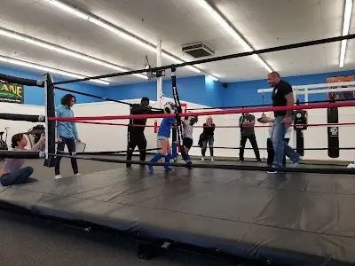 Mcsweeney Martial Arts and Performance Center BJJ Academy - photo 4