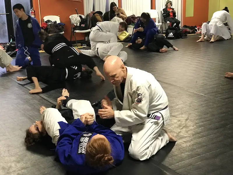 McVicker’s Martial Arts BJJ Academy - photo 1