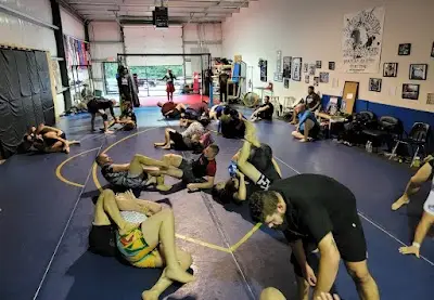 Megalodon MMA / Athens / Watkinsville