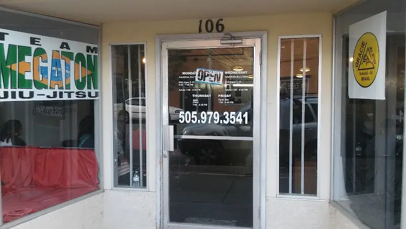 Megaton Brazilian jiu-jitsu BJJ Academy - photo 2