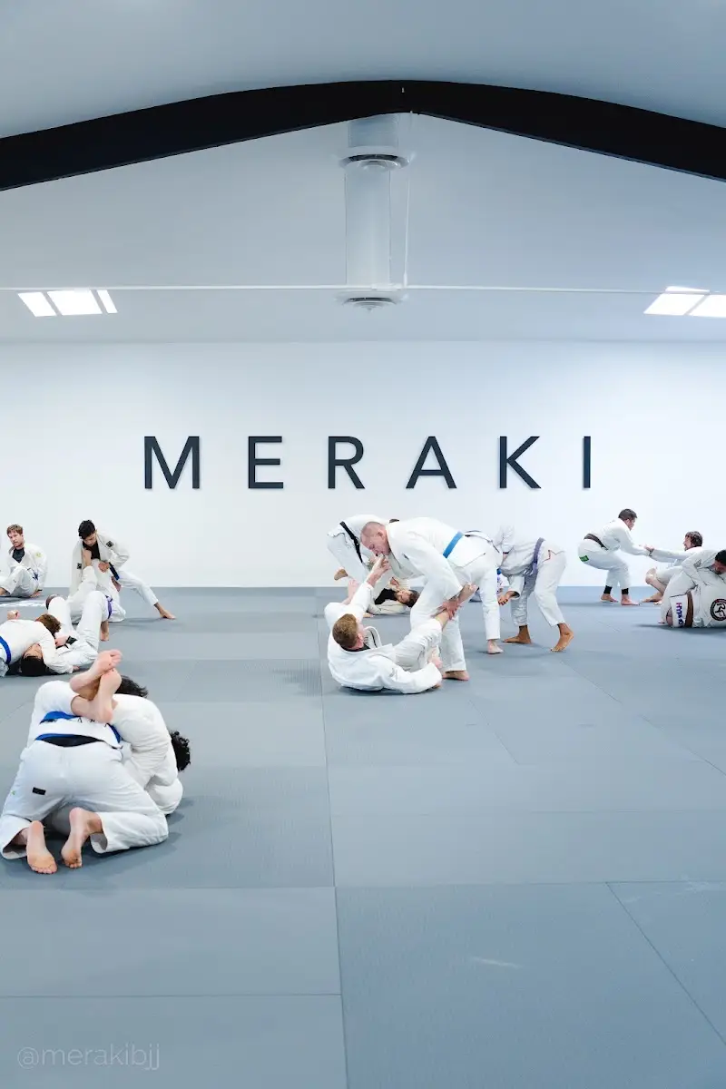Meraki