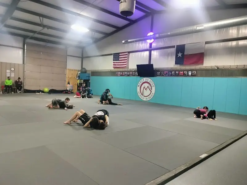 Mercy Jiu Jitsu BJJ Academy - photo 2