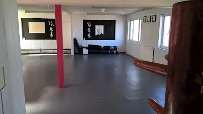 Meridian Kung Fu (UK) BJJ Academy - photo 4