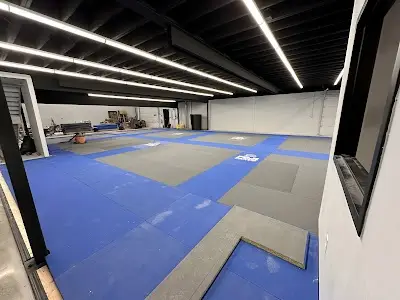 Metro Jiu-Jitsu - Westland BJJ Academy - photo 2