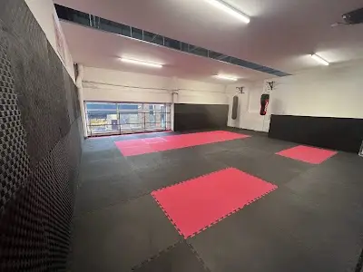 Miah Bros MMA Gym BJJ Academy - photo 1