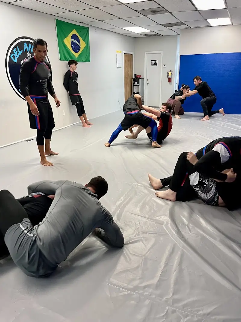 Mike Del Angel BJJ BJJ Academy - photo 1