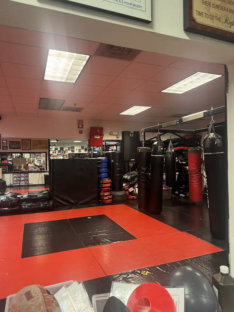 MiKiDo BJJ Academy - photo 1
