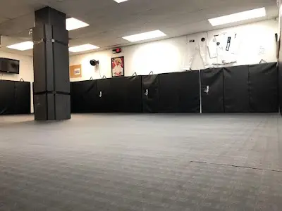 MINDFLOW Jiu-Jitsu BJJ Academy - photo 2