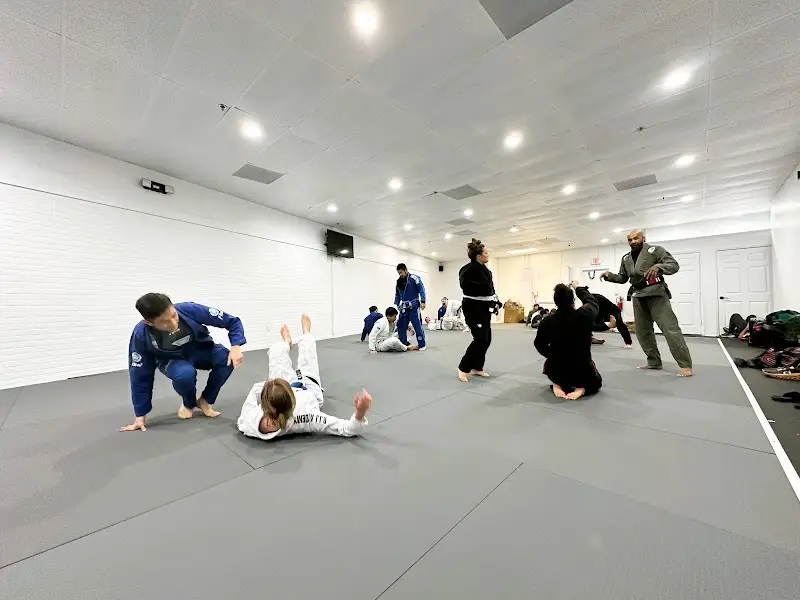 Mint Hill Jiu-Jitsu BJJ Academy - photo 1