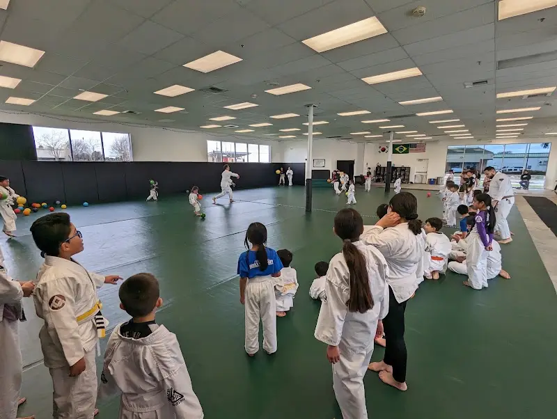 Miro's Taekwondo / Gracie Jiu-Jitsu Vallejo BJJ Academy - photo 1
