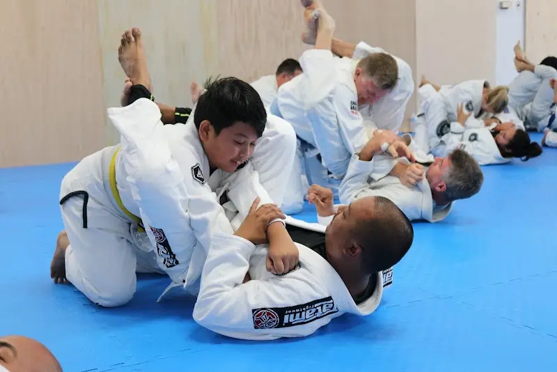 Miro's Taekwondo / Gracie Jiu-Jitsu Vallejo BJJ Academy - photo 2