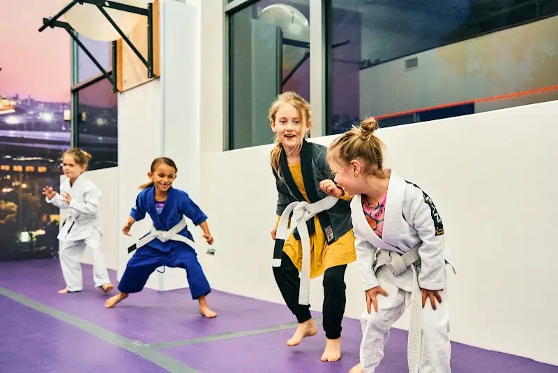 Misfit Combat BJJ Academy - photo 1