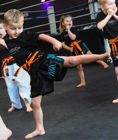 Mission Fitness/MartialArts BJJ Academy - photo 2