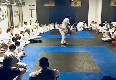 MMA & Sport BJJ Academy - photo 1