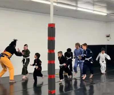 MMA 101 BJJ Academy - photo 1